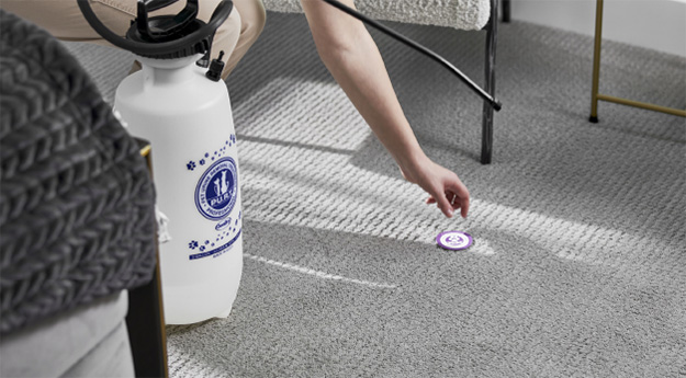 A Deeper Clean for a Healthier Home